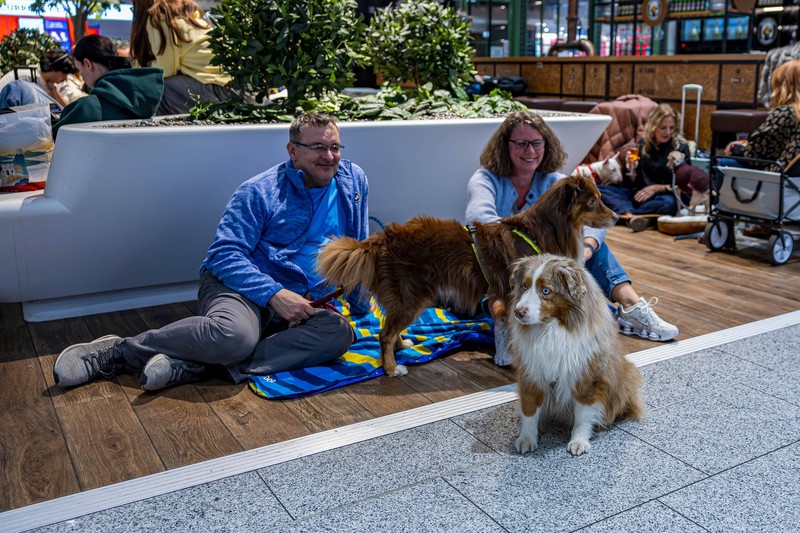 Welche Flughäfen in Deutschland sind gut für Hunde?