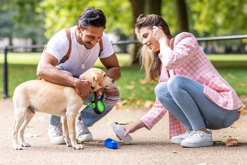 Es ist sehr wichtig, dass Hunde bei heißem Wetter ausreichend Flüssigkeit zu sich nehmen.