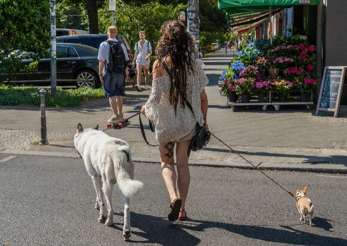 Im Sommer sollten lange Spaziergänge während der Mittagszeit vermieden werden.