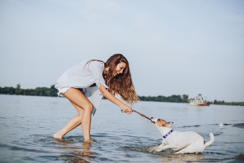Hund und Frau spielen im seichten Wasser