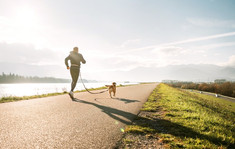 Hund und Herrchen gehen joggen