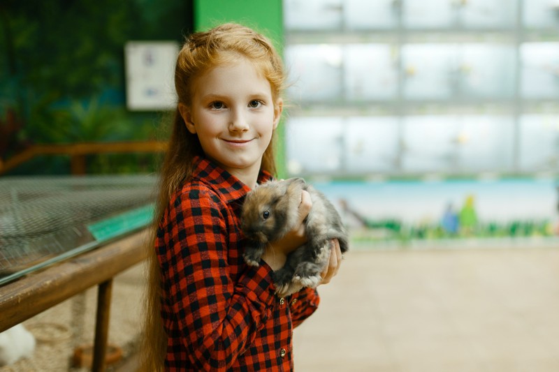 Ein Kaninchen, das das perfekte Haustier für Kinder ist