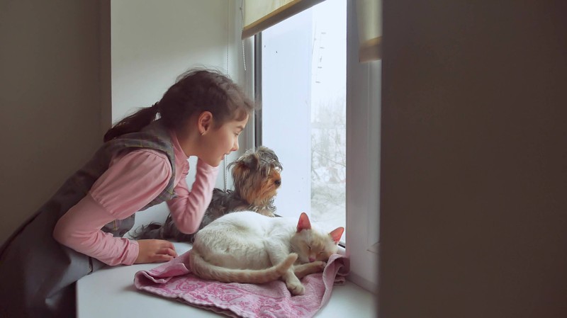 Kleines Mädchen mit einem Hund und einer Katze.