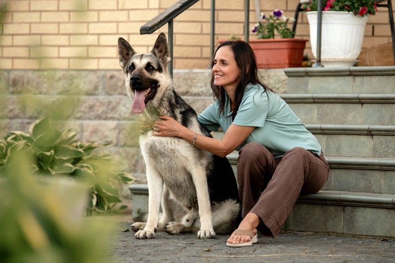 Es gibt einige Dinge, die Hundehalter*innen über den Umgang mit ihren Hunden wissen sollten und besonders wichtig sind.