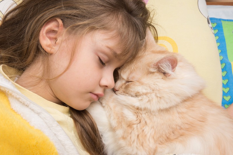 Katze und Mädchen schlafen nebeneinander, was vermieden werden sollte.