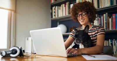 Arbeiten trotz Hund: So bekommst du beides unter einen Hut