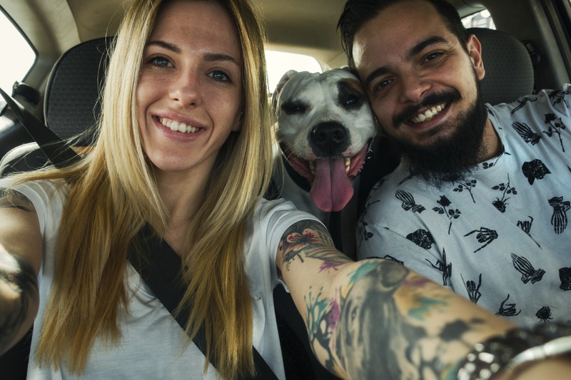 Paar sitzt mit Hund im Auto und Frau schafft Balance zwischen Hund und Arbeit
