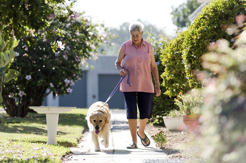 Hund kommt zur Oma
