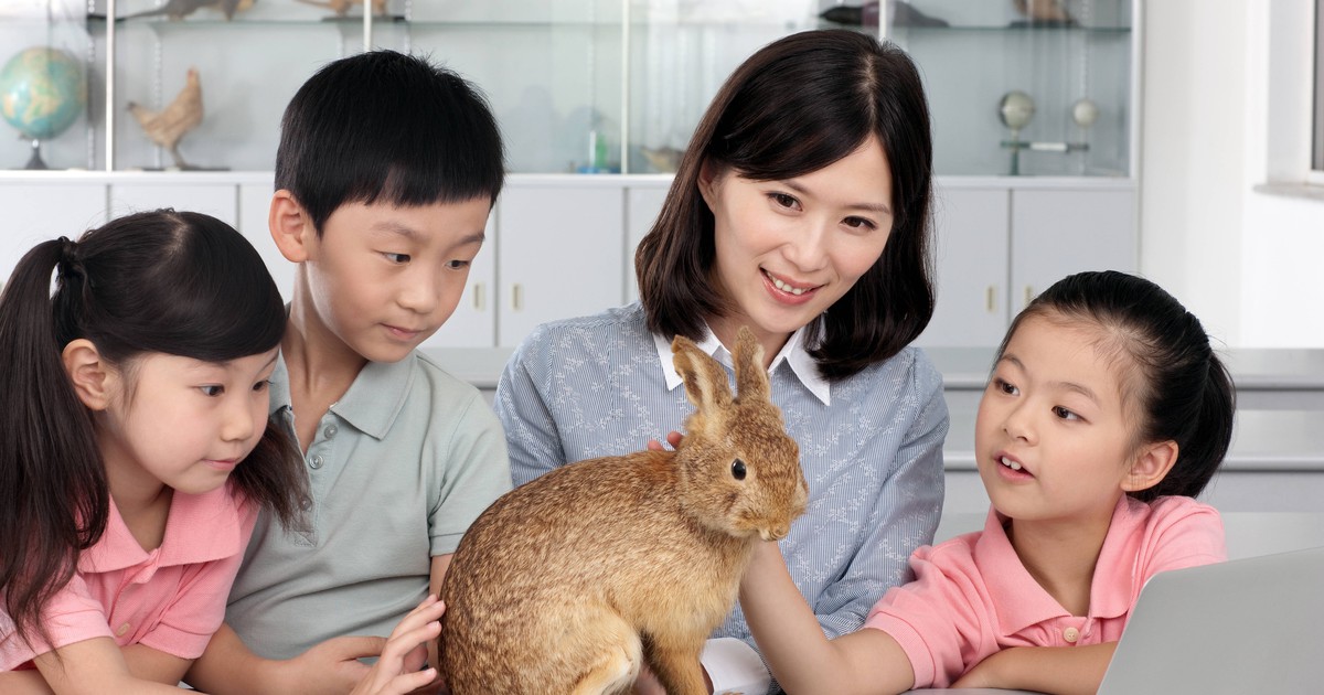 15 Fakten über Kaninchen, die du bestimmt noch nicht kanntest