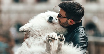 Welches Haustier passt zu mir? Kriterien, die du bei der Tierwahl berücksichtigen solltest