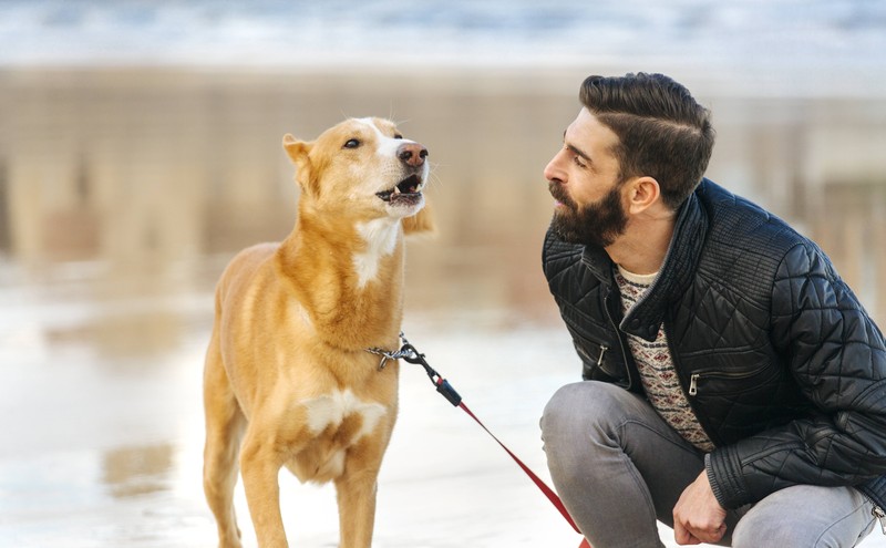 Der Hund des Besitzers bellt etwas in der Ferne an.