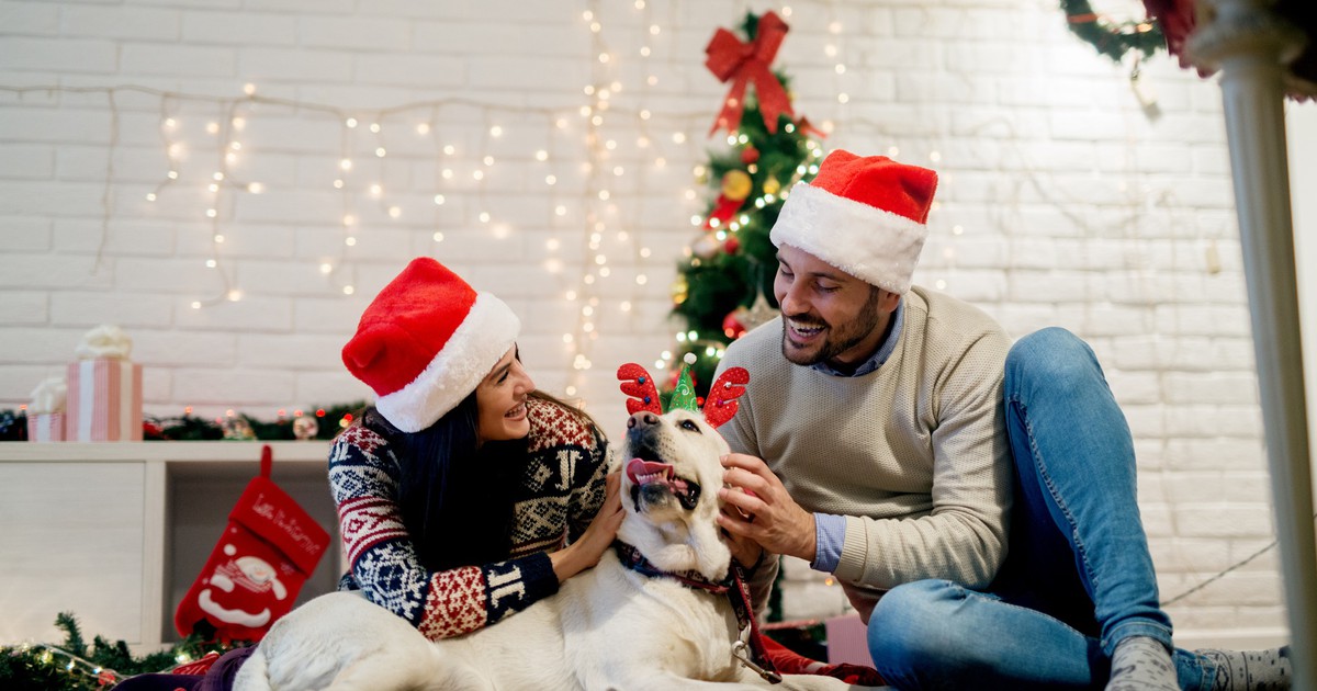 Gift Guide: Was schenkst du deinem Hund zu Weihnachten?