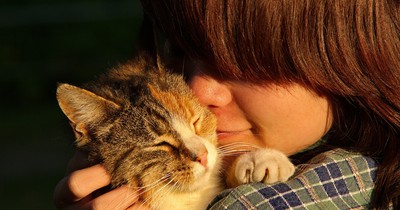 5 Anzeichen, an denen du erkennst, dass deine Katze dich liebt