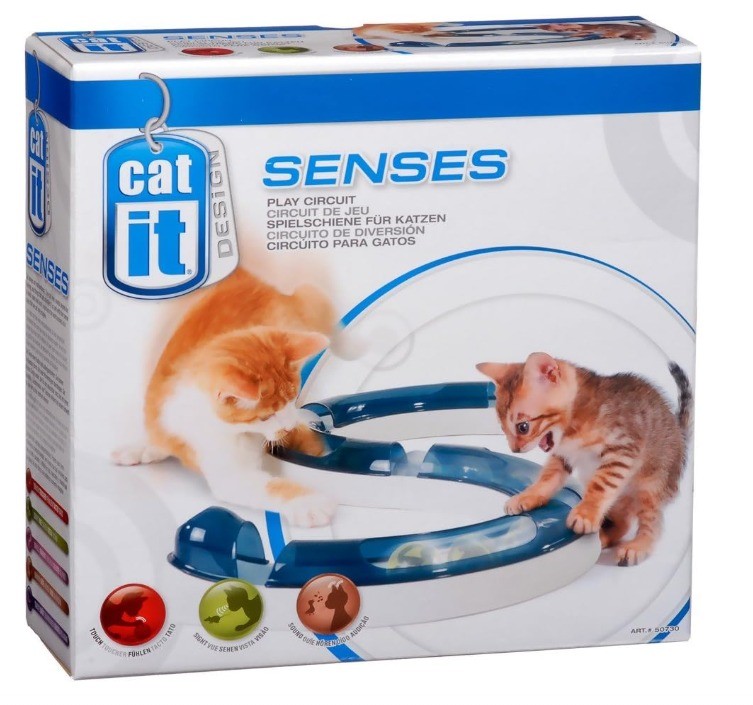 Katzen spielen gerne und freuen sich über Spielzeug.