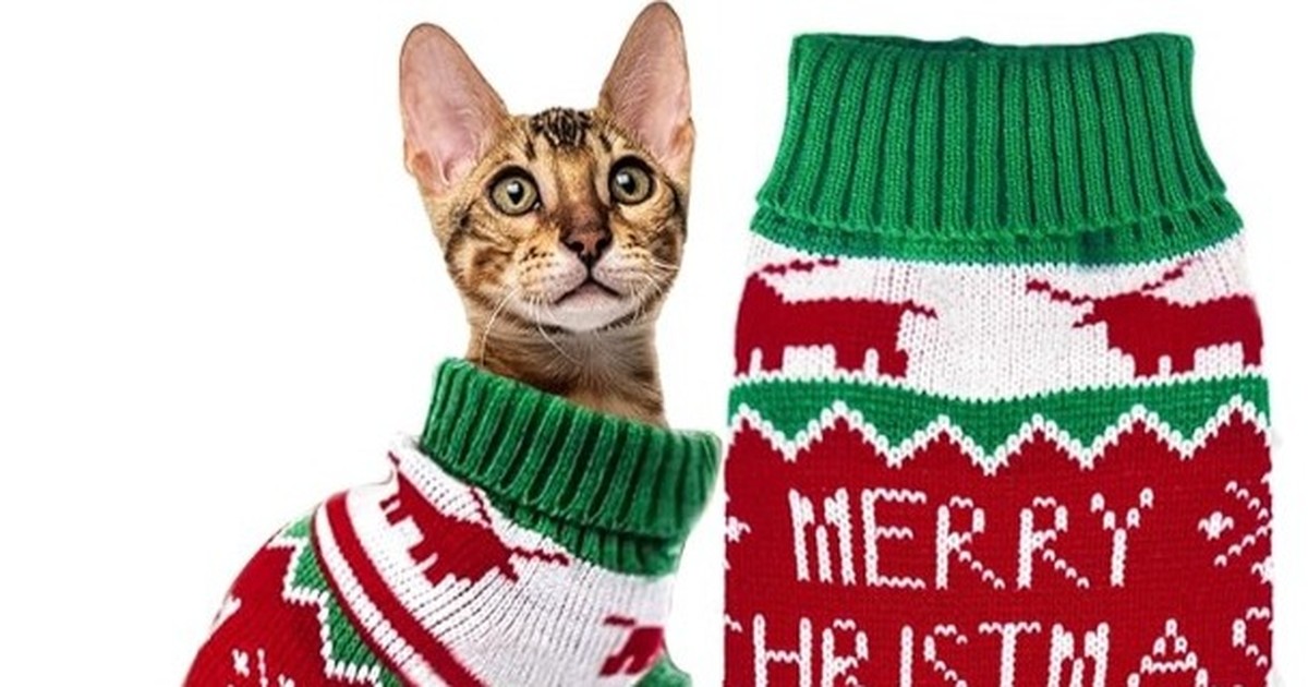 Die besten Weihnachtsgeschenke für Katzen und Katzenbesitzer!