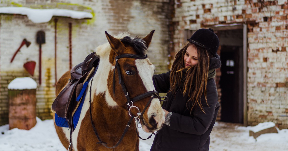 10 Weihnachtsgeschenke, die du deinem Pferd machen kannst