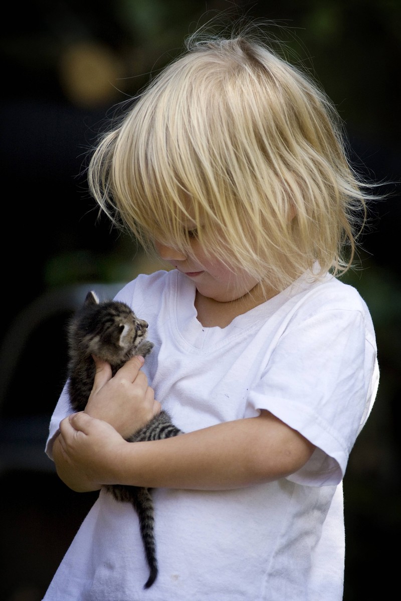 Einige Katzen sind geduldiger mit Kindern als andere