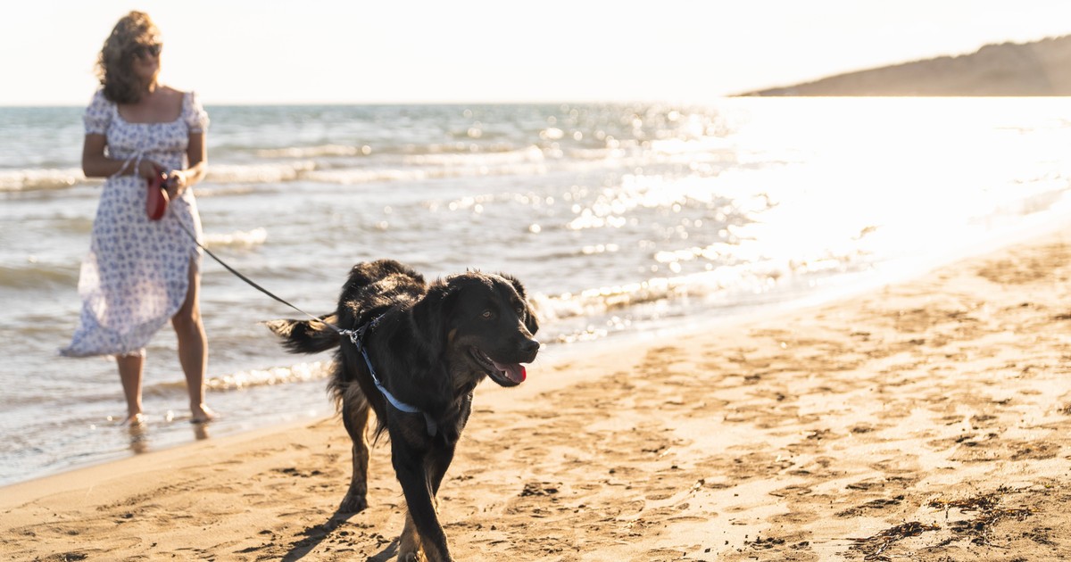 13 Reiseziele: Wo ist der Urlaub mit Hund am schönsten?
