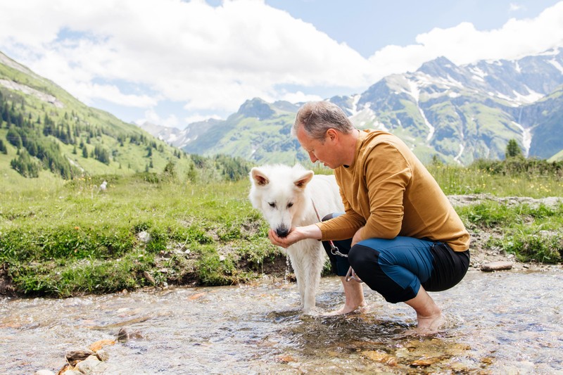 Ein Tripp in die Schweiz lohnt sich für Familien mit Hund richtig.