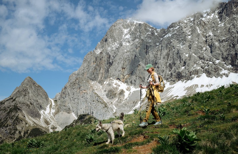 Österreich ist sehr hundefreundlich.