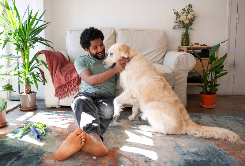Um einen Hund mitzunehmen, sollte man sich gut vorbereiten.