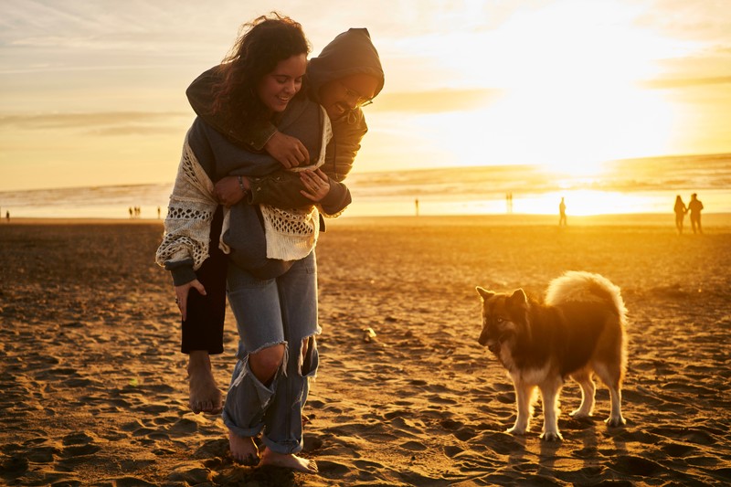 Welche Reiseziele sind geeignet, wenn man seinen Hund mit in den Urlaub nehmen möchte.