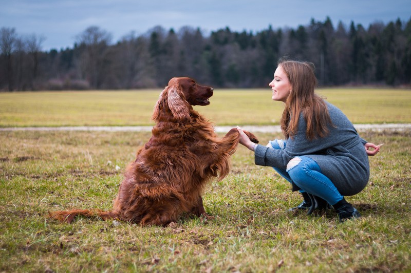 Hundeschule, Frau trainiert mit Hund