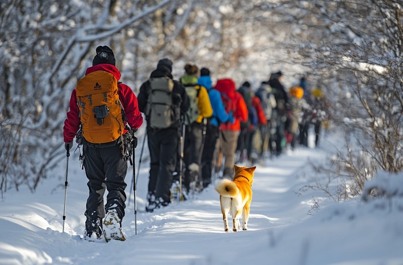 Beim Wintersport mit Hund gibt es eine wichtige Regel zu beachten.