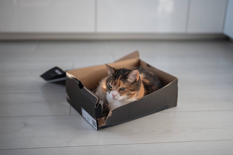 Für dich ist der Karton außerdem dann eine gute Recycling-Methode.