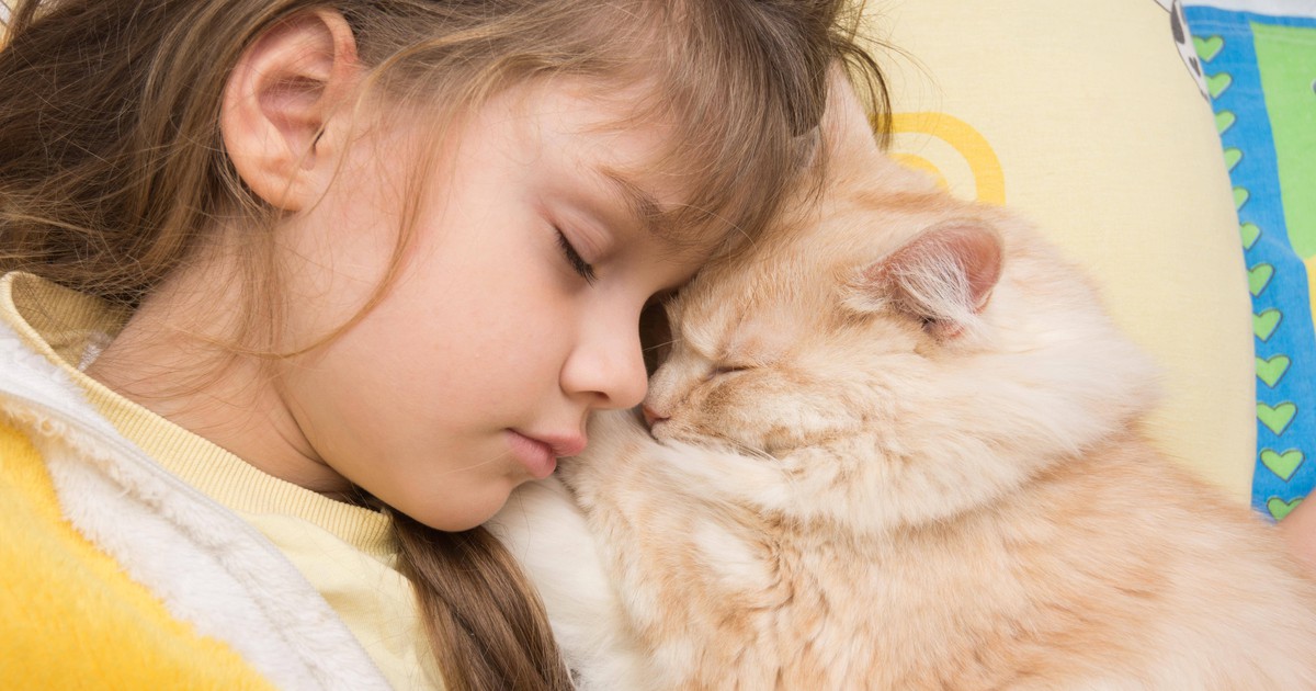 Katze trotz Allergie halten: Das solltest du beachten