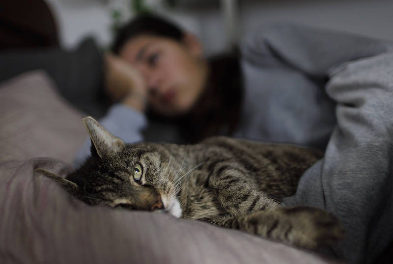 Katzen könnten aus Hygienegründen nicht ins Bett gelassen werden.