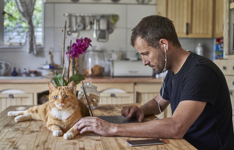 Mann sitzt an seinem Laptop, während er seine Katze streichelt.