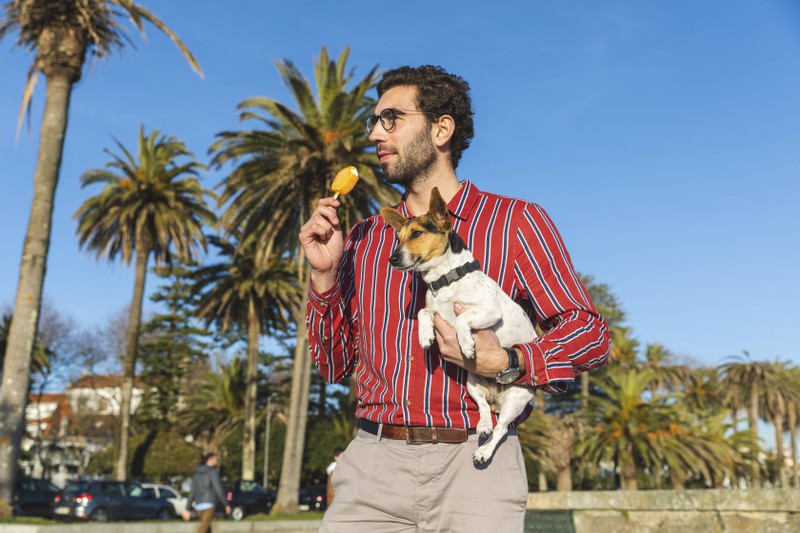 Du solltest deinen Hund nicht überall mithinnehmen, zu viel trubel kann auch kein Hund ausstehen