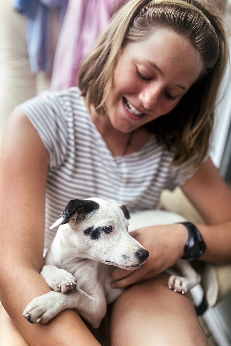 Man sollte nicht ständig mit dem Hund reden das verwirrt ihn