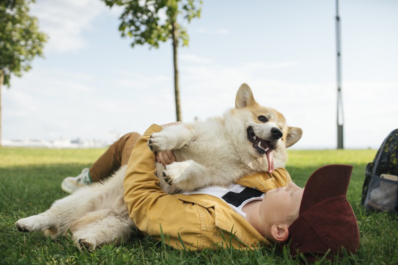 Jeder Hund will lieb gehabt werden, doch es geht auch zu viel