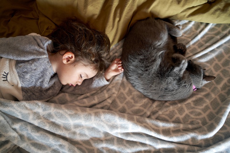 Katze und Baby schlafen gemütlich in einem gemeinsamen Bett.