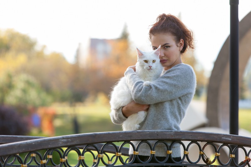 20 Fehler, die viele Katzenbesitzer machen
