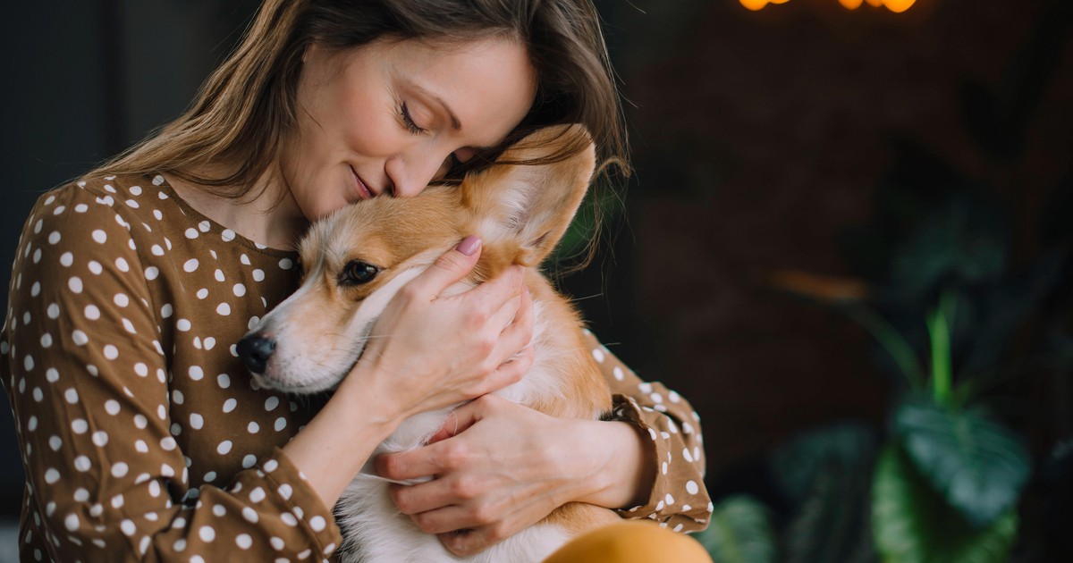 16 Lebensmittel, die für den Hund gefährlich sind