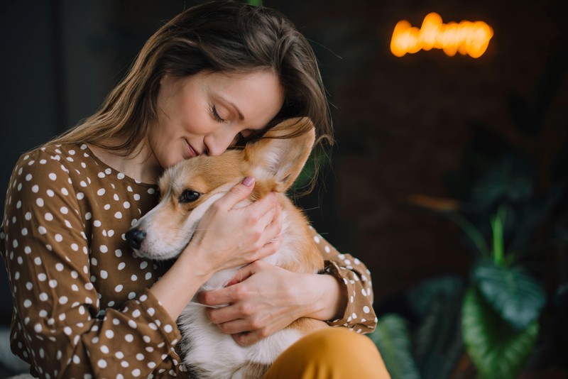 Hund, der keine gefährlichen Lebensmittel essen sollten