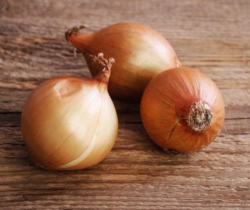 Zwiebeln sind gefährlich für Hunde