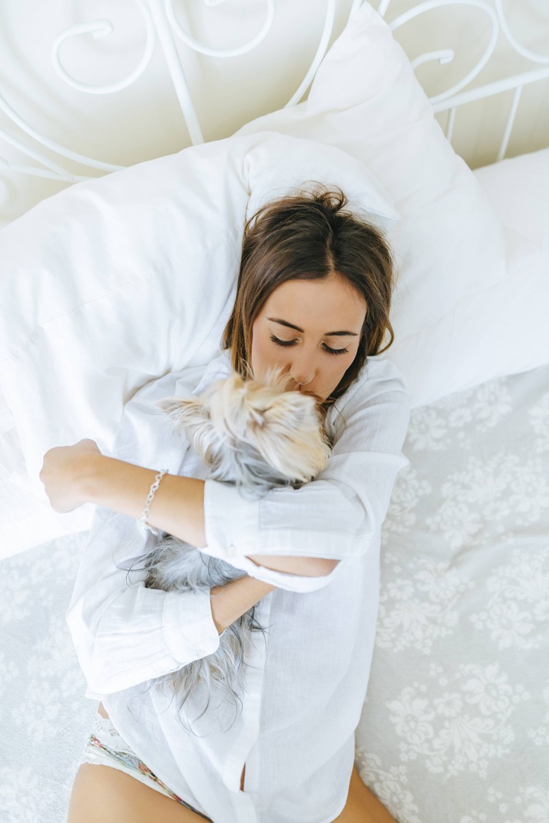 Ein Hund in deinem Bett bietet dir Geborgenheit und Sicherheit