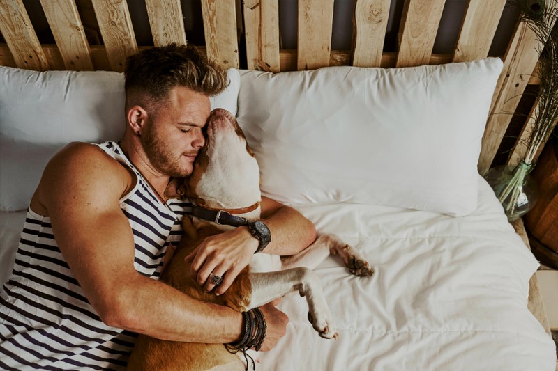 Für Hund und Hundebesitzer kann es wohltuend sein, sich das Bett zu teilen.