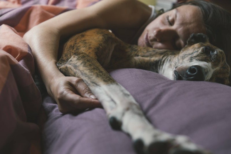 Statt der Wärmflasche kannst du dir lieber deinen Hund an kalten Nächsten ins Bett holen