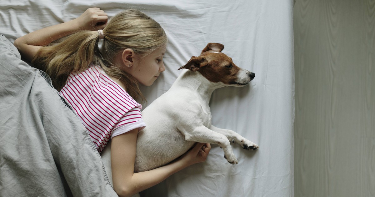 8 Gründe, wieso dein Hund in deinem Bett schlafen sollte