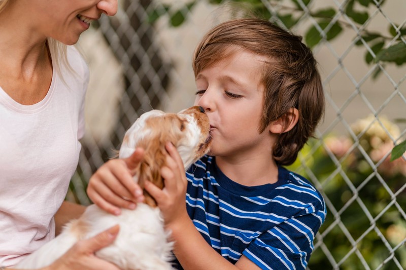 Beim ersten Aufeinandertreffen von Hund und Katze kann die Anwesenheit zu vieler Menschen unnötigen Stress auslösen.