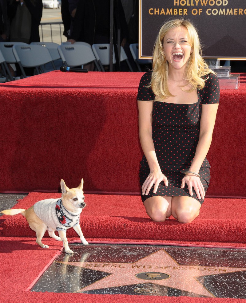 Reese Witherspoon erhält einen Stern mit ihrem berühmten Hund
