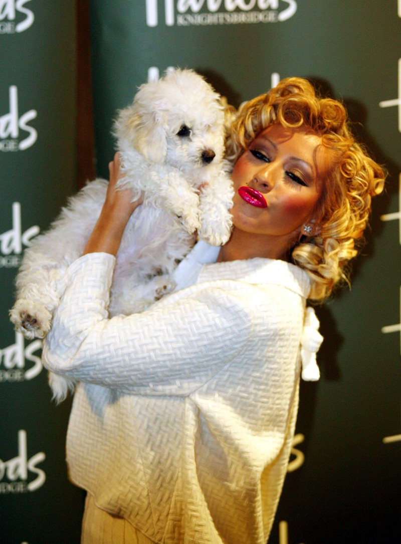 Star Christina Aguilera mit berümtem Hund