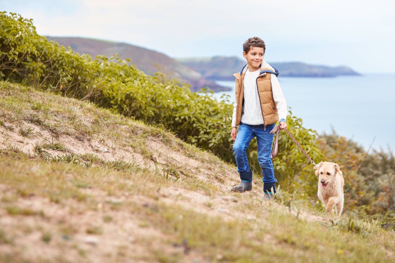 Wie viel Bewegung dein Hund braucht, hängt auch von seiner Kondition ab.
