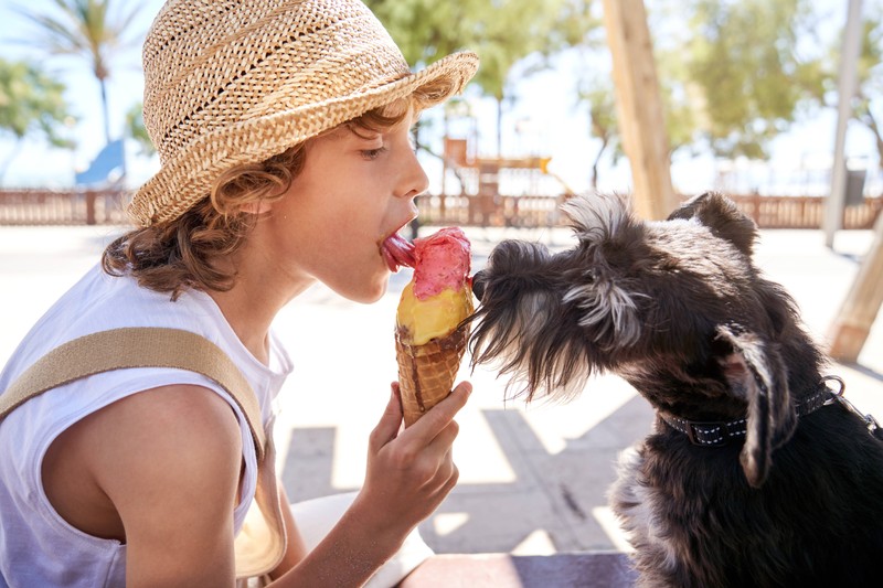 Isst dein Hund Futter, das er nicht verträgt?