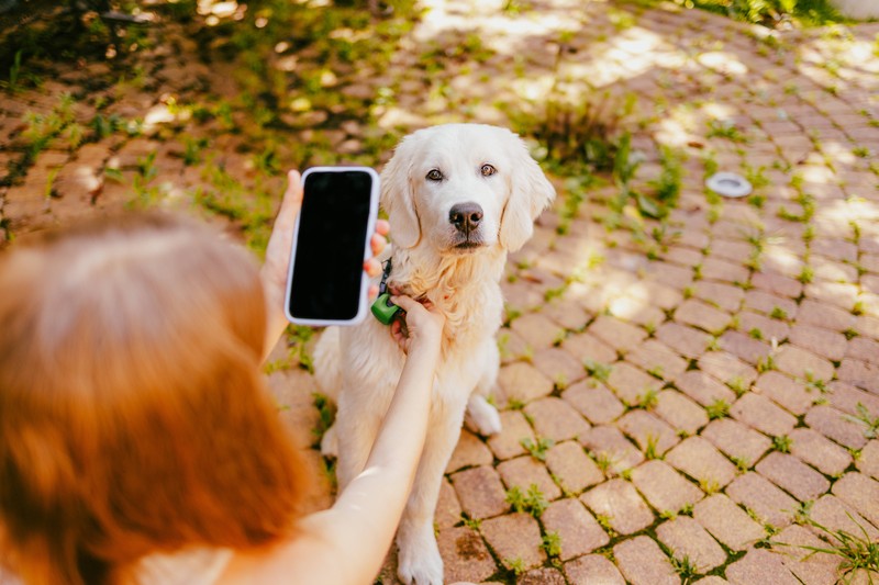 Mit der Lupenfunktion deines Smartphones kannst du deinen Hund auf Zecken kontrollieren.
